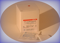 Mullkompressen Steril 5,0 x 5,0 cm